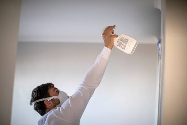Best Fast Mold Removal  in Warminster Heights, PA