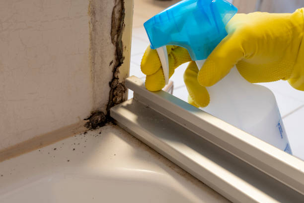 Best Crawl Space Mold Removal  in Warminster Heights, PA