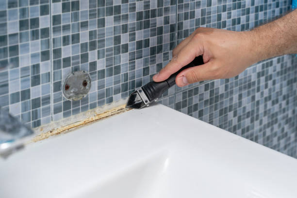 Best Mold Removal Company Near Me  in Warminster Heights, PA