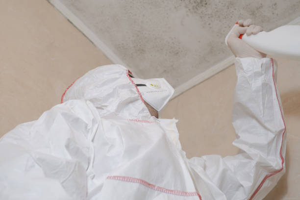 Office Mold Removal Services in Warminster Heights, PA