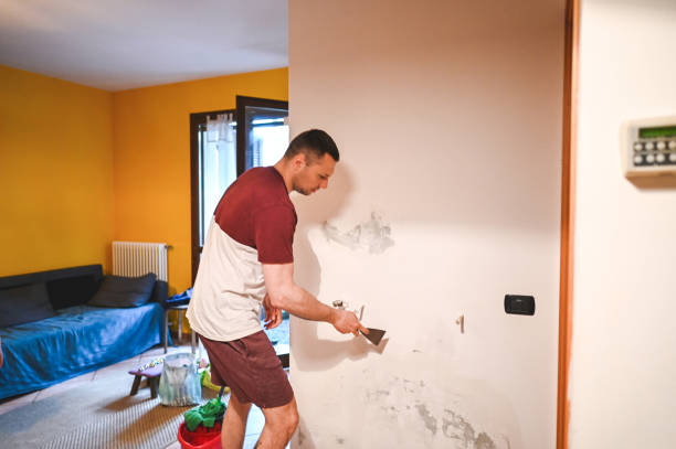 Best Local Mold Removal Service  in Warminster Heights, PA